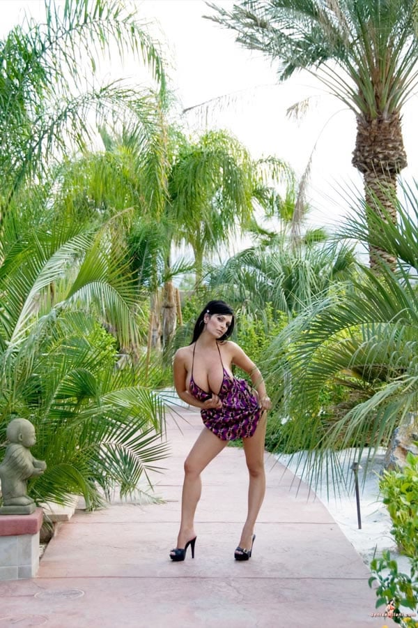 Denise Milani posing under the palm trees